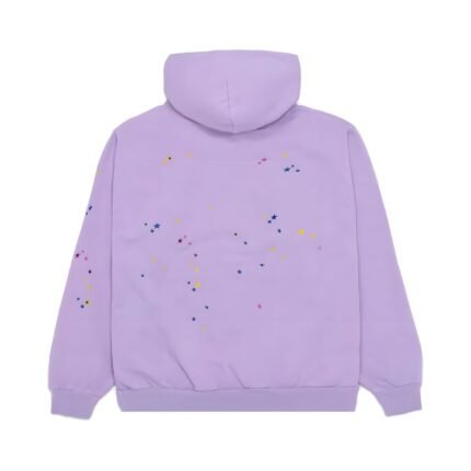 Acai Spider Hoodie